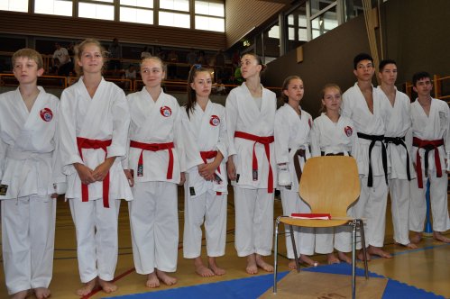 Karate SM Ippon Shobu 2015